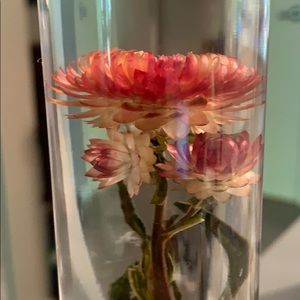 Meet your Posher, Nathalia